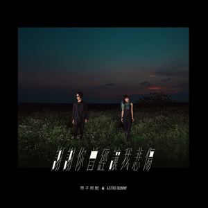 罗丽星克莱尔护士日记英文版
