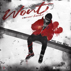 罗丽星克莱尔护士日记英文版
