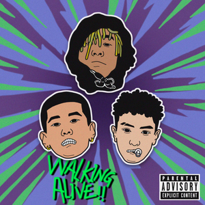 罗丽星克莱尔护士日记英文版
