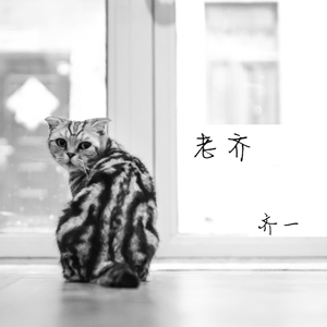 罗丽星克莱尔护士日记英文版
